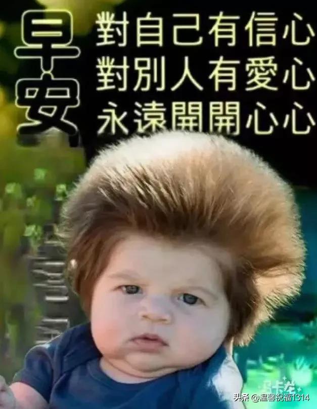 早安文案高级感幸福是自己争取的,励志语录人生这条路靠自己走