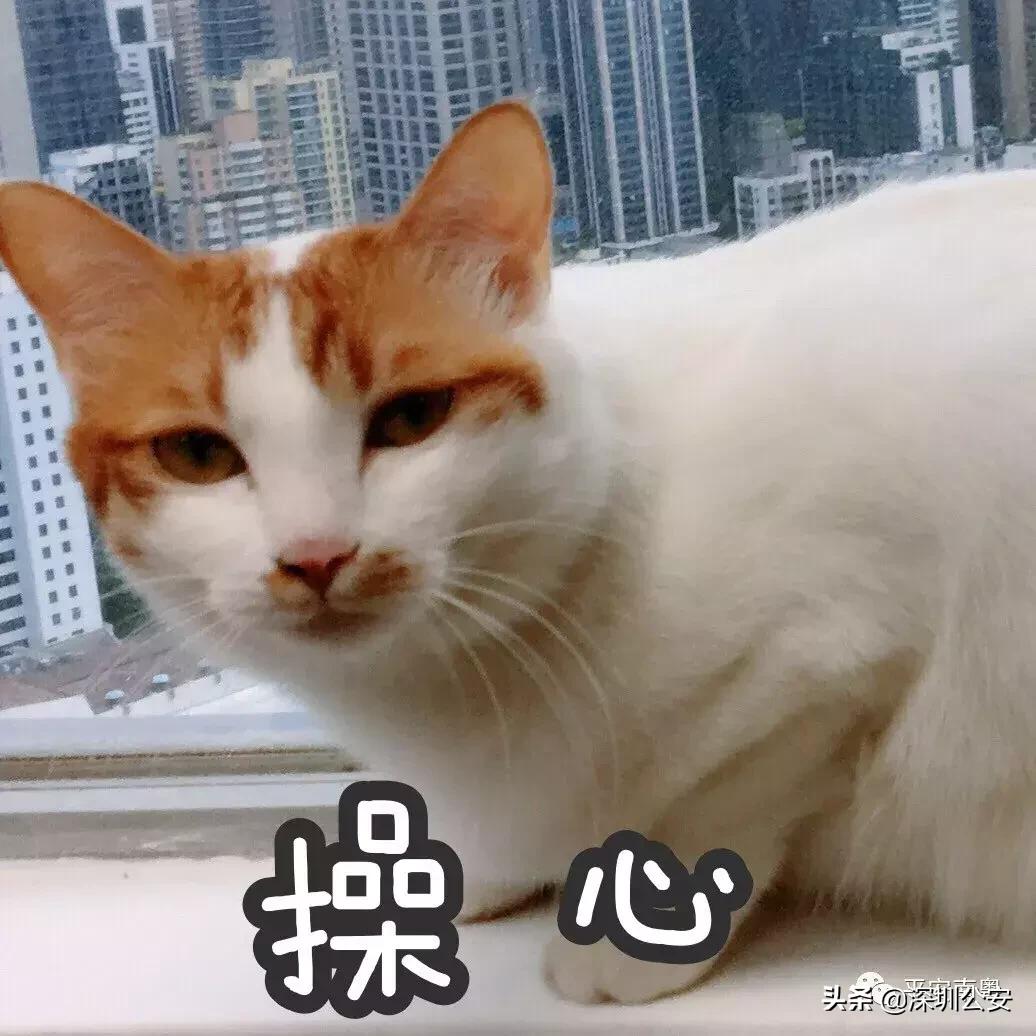 仿品戴森吹风机进货价多少,山寨戴森电吹风测评