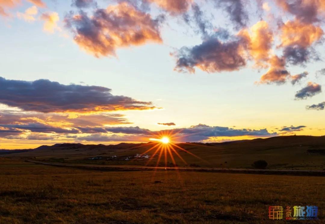 一到秋天,这里就美成了金色天堂!全世界独一份!