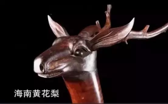 500元梅花鹿,鉴宝黄花梨梅花鹿