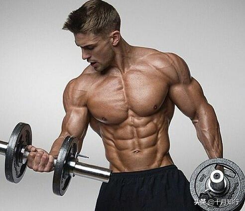如何用哑铃快速锻炼手臂肌肉,如何用哑铃练手臂动作图解