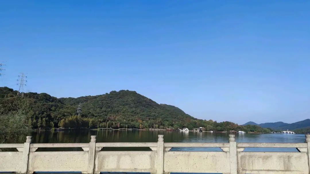 一周小结文字图片,小学一周小结怎么写