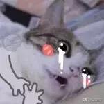 网红用的洗面奶,网红洗面奶洗烂脸