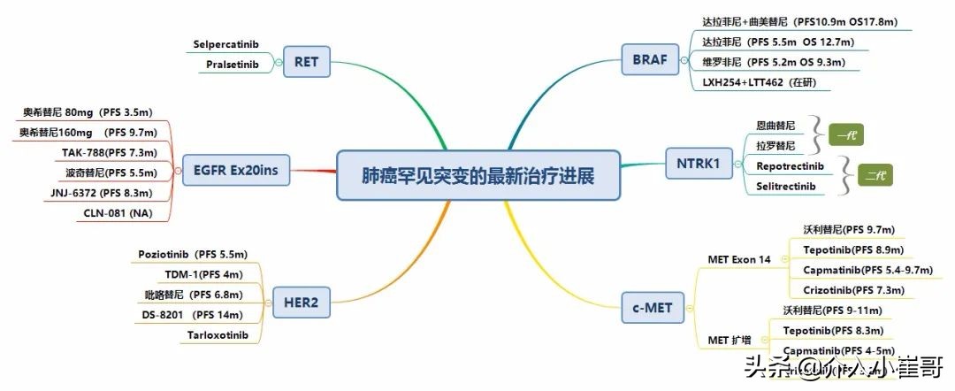 肺癌罕见基因治疗进展,肺癌只有基因突变才能靶向治疗吗