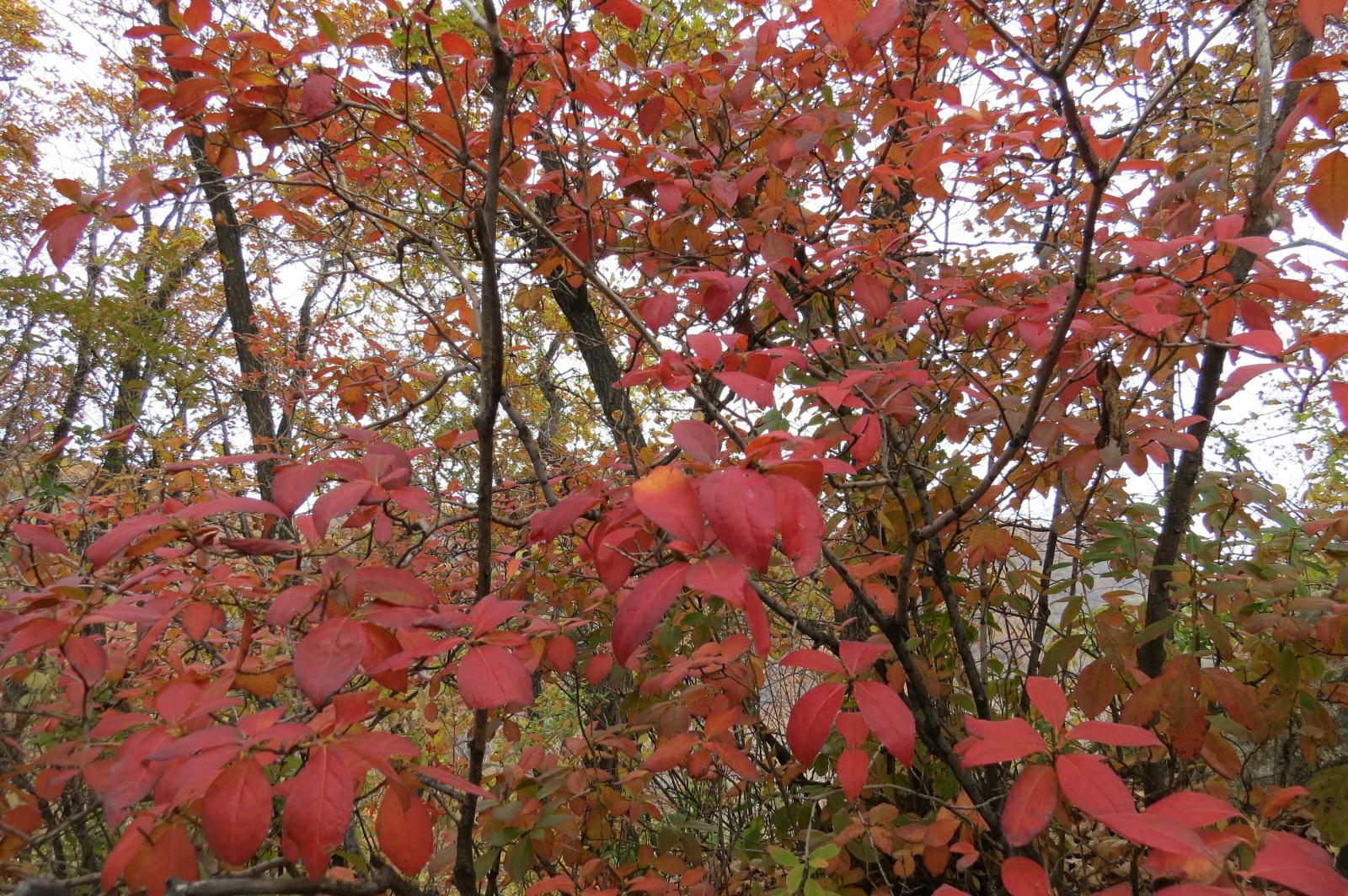抚顺99座山峰游记,抚顺12座山峰