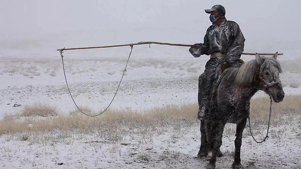 羊绒制品起源,中国羊绒历史简介