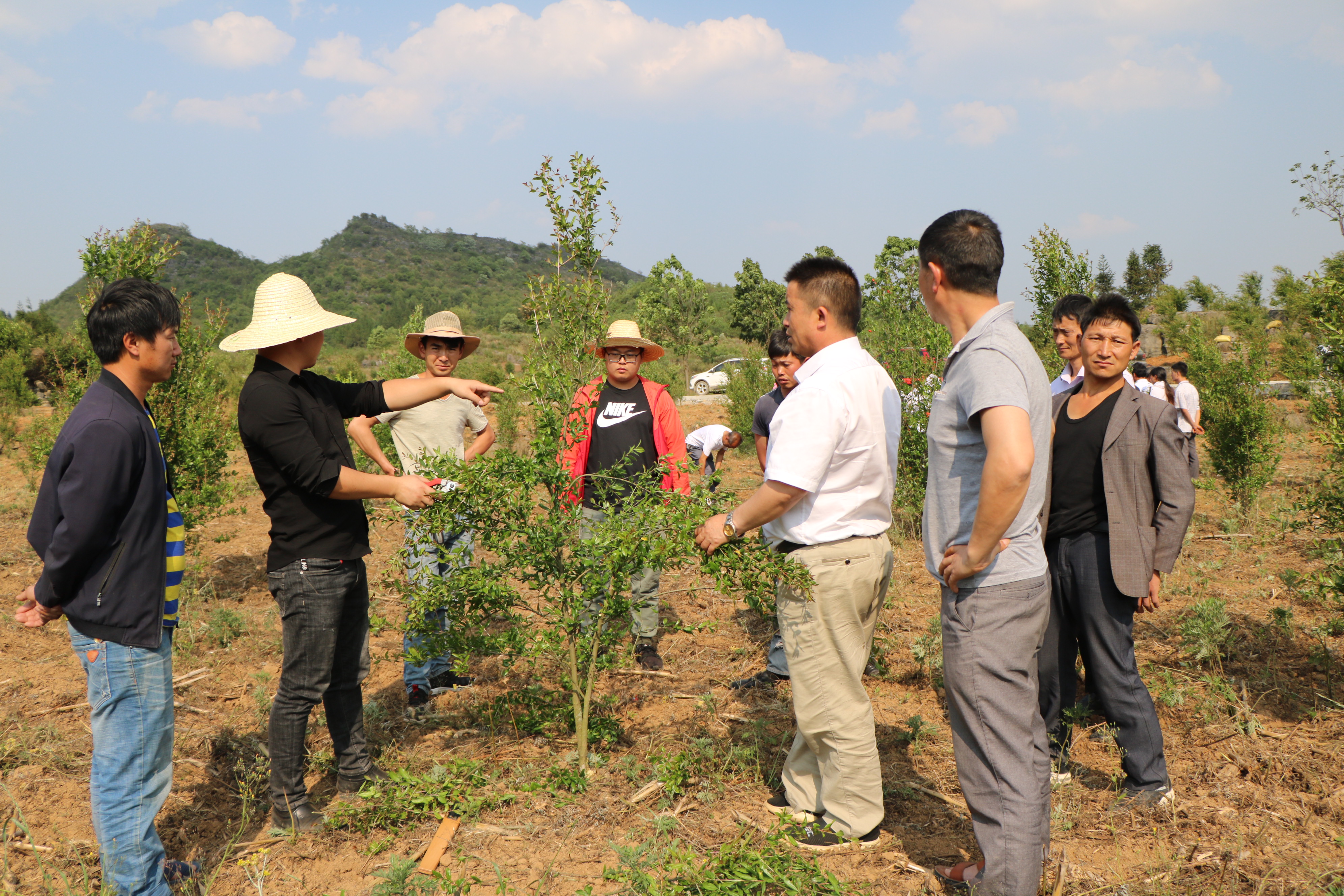 盘州企业数字化转型,盘州市产业