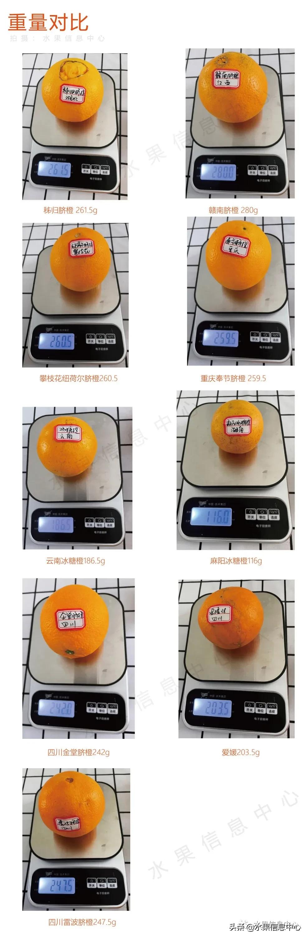 9种橙子,橙子正宗赣南脐橙测评