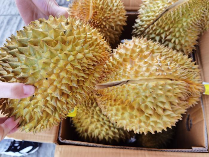 买榴莲要诀,水果店老板告诉你榴莲怎么挑选