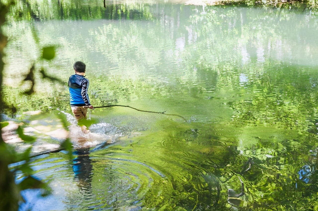 黄山西溪南古村旅游,西溪湿地五一