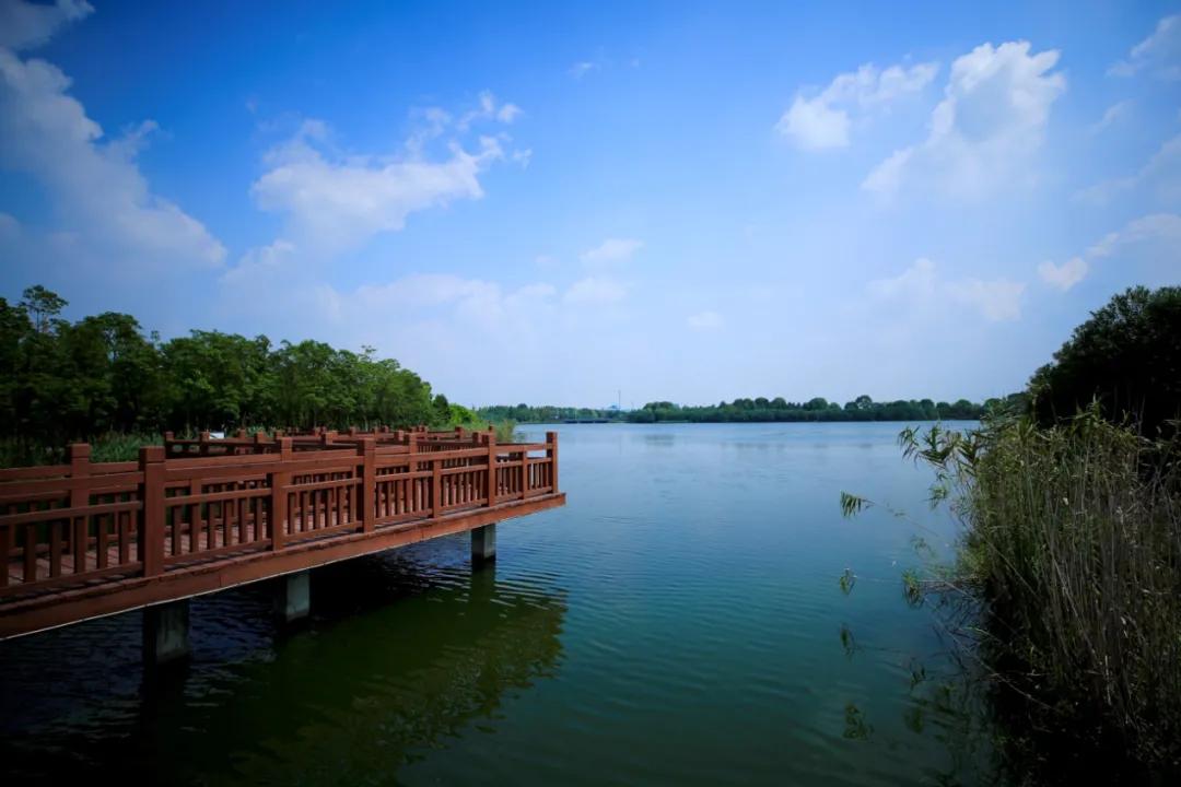 杭州最佳赏秋路线推荐,杭州附近赏秋的地方