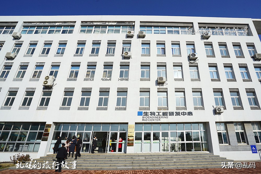 山东被低估的一所大学创2项全国第一连获3年最佳社会声誉高校