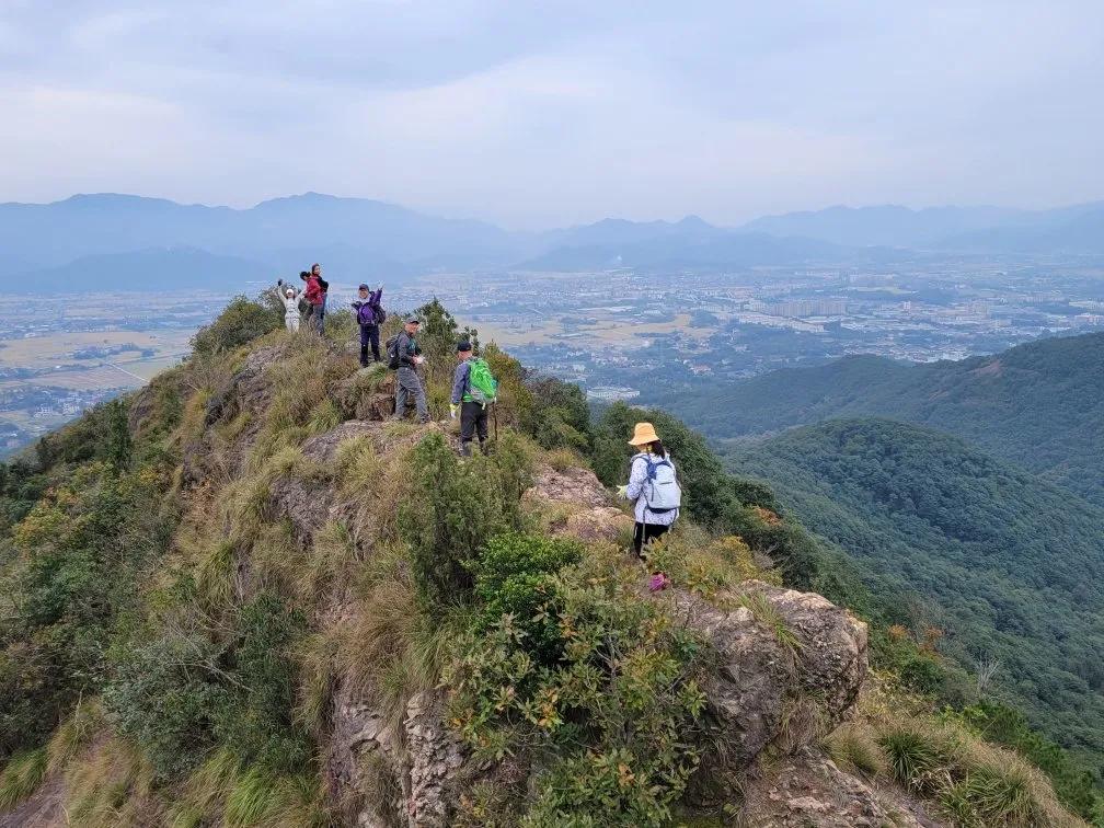 银杏古道自驾游攻略,江浙沪绝美古道苏州