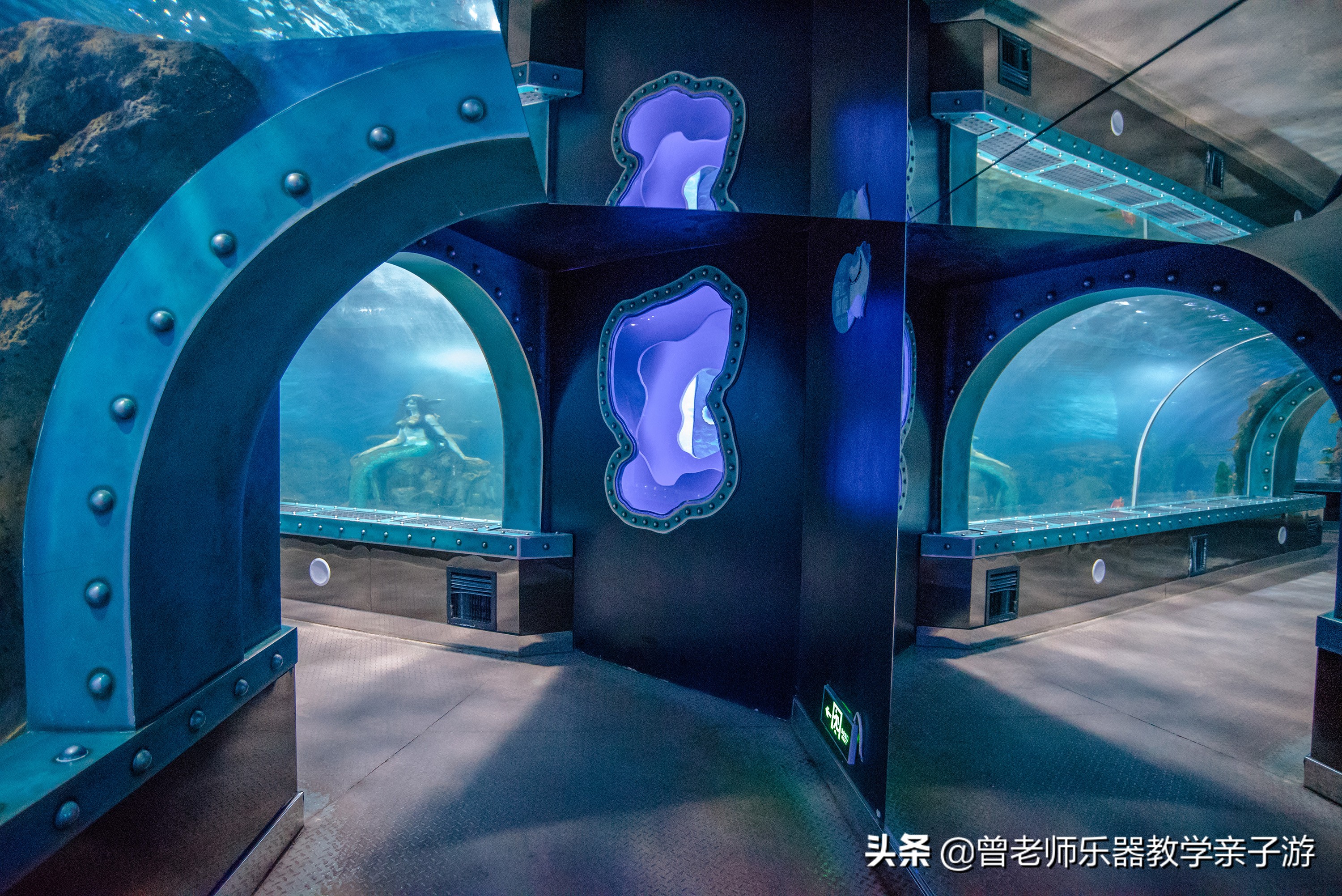 西安太奥海洋馆,西安极地海洋世界海豚表演