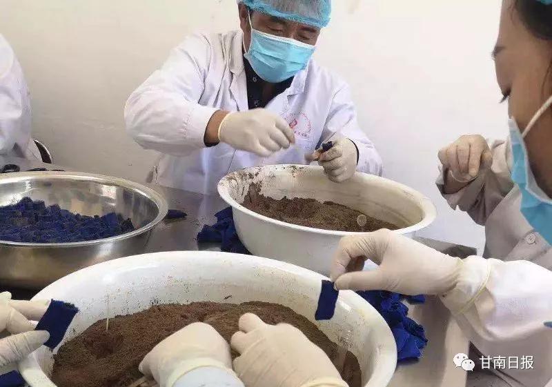 #甘南众志成城抗击疫情#「疫情防控甘南在行动」夏河：发挥藏医特色优势助力疫情防控