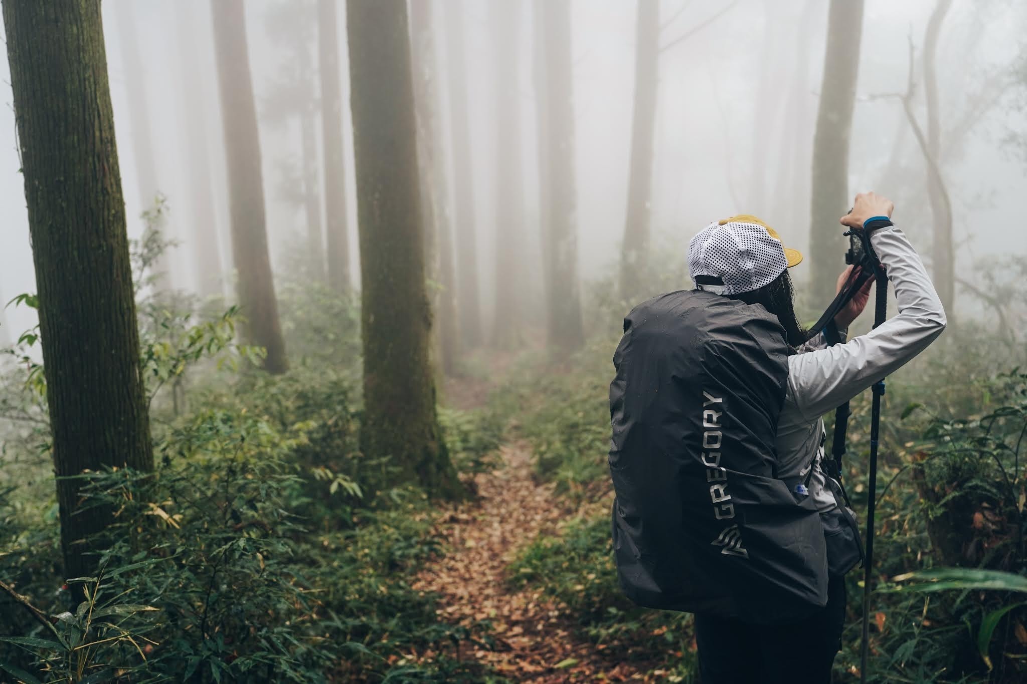 格里高利背包款式推荐,格里高利登山背包60升尺寸