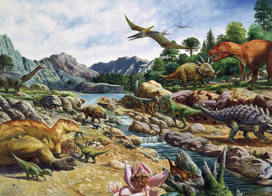 只要发现一只蟑螂家里就有上千只,发现一只蟑螂其实家里就有几十只