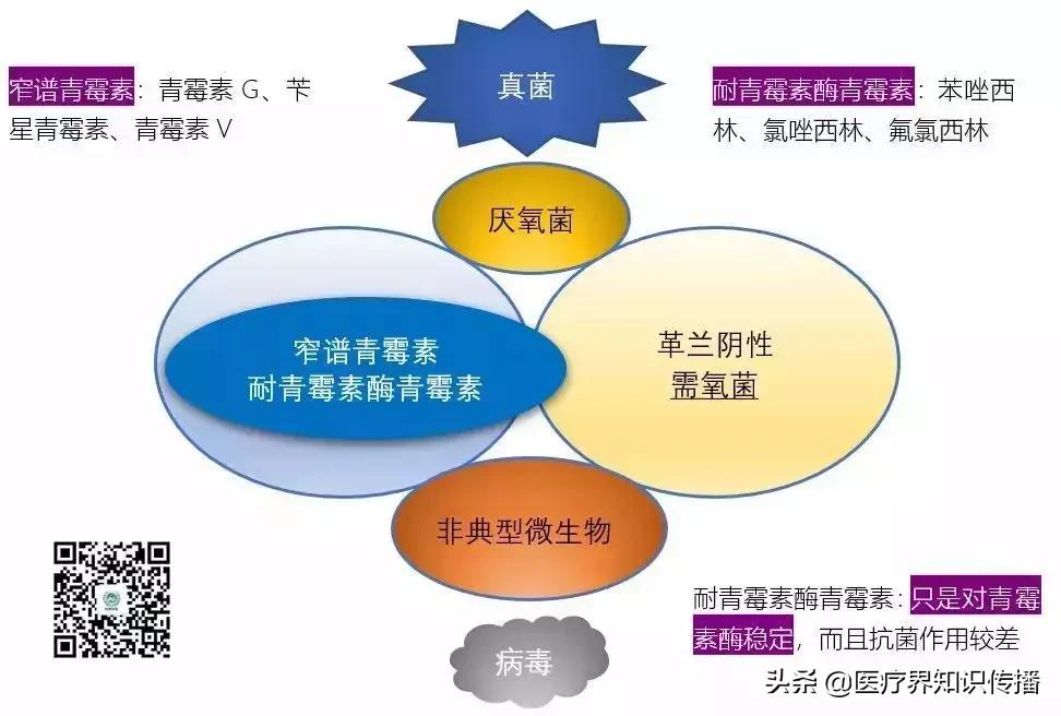 抗菌药谱大全及图片,抗菌谱图解大全