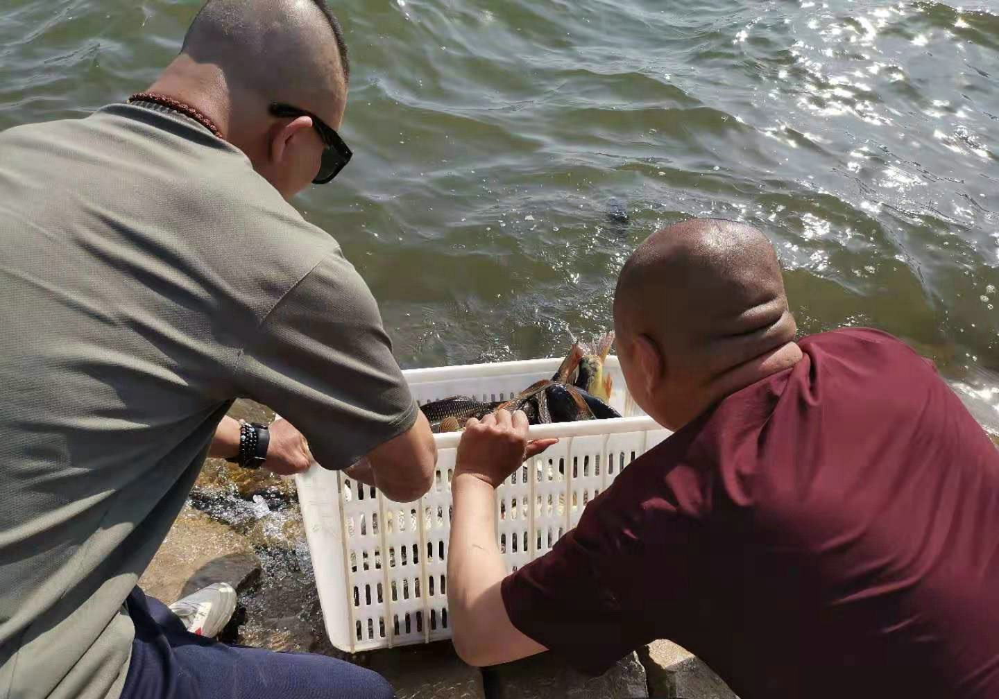 武安放生的鳄鱼找到了吗,武安市通报鳄鱼放生事件