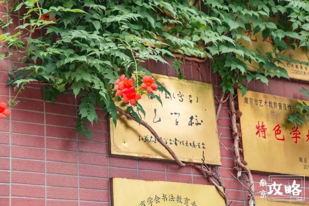 慧园里，南京城中，时光交错的角落