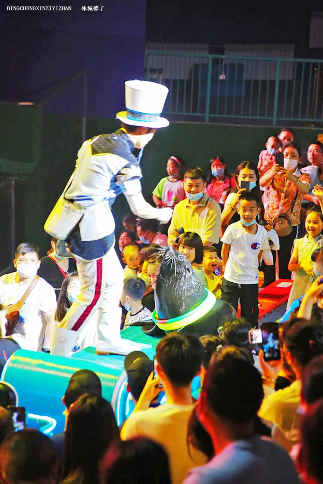 走进哈尔滨完整视频,走进哈尔滨海洋馆