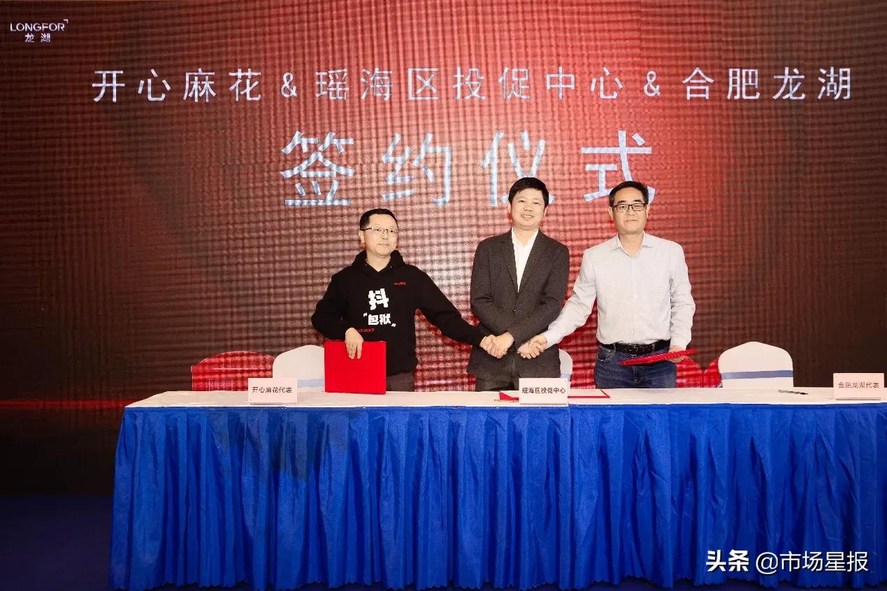 龙湖天璞合肥洋房叠墅户型,龙湖天璞合肥洋房