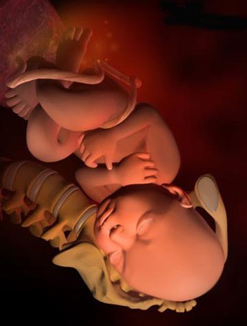 30至40周胎儿可以长多少斤,孕34周到38周胎儿体重能长多少斤