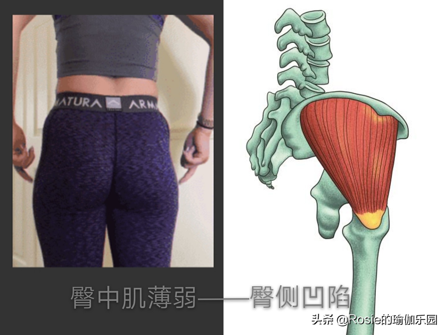 练出马甲线和小蛮腰和漫画腿,练出漂亮的马甲线英文