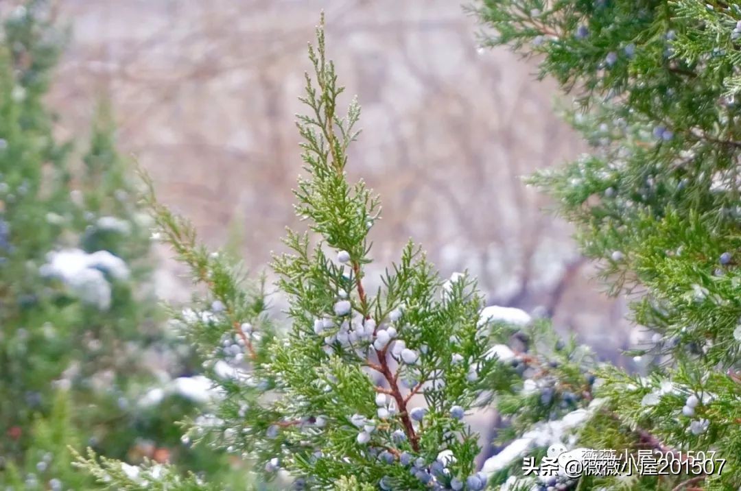 城市漫步,城市漫步郑州