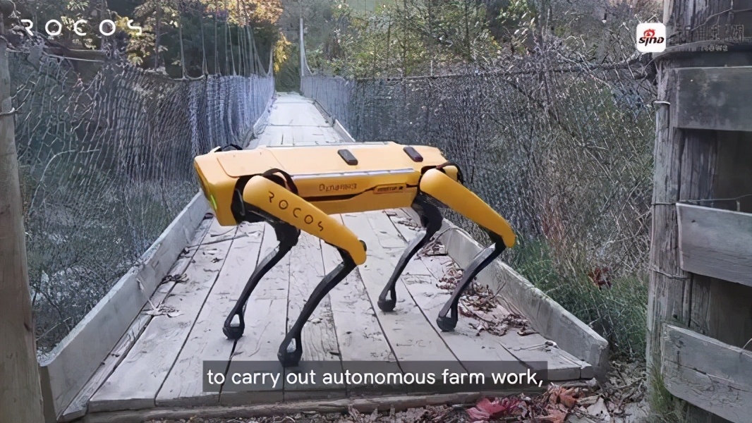 鍥藉鐢ㄦ満鍣ㄧ嫍鏀剧緤瑙嗛,鍥藉鐢ㄦ満鍣ㄧ嫍鏀剧緤