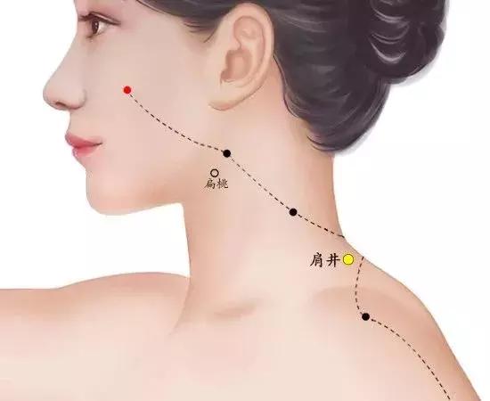 颈肩病最好的食疗方法,颈肩病调理