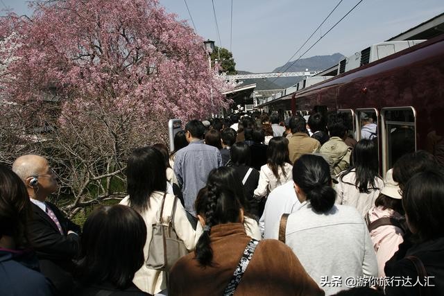 待到山花烂漫时完整版,待到樱花烂漫时的视频