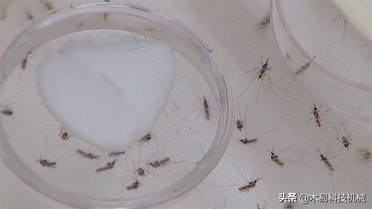 高科技灭蚊灭蟑螂小神器,自制灭蚊子神器第一名