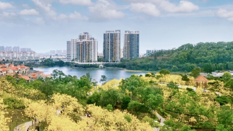 江阳区2024中考录取分数线,2019年吴阳中学录取分数线