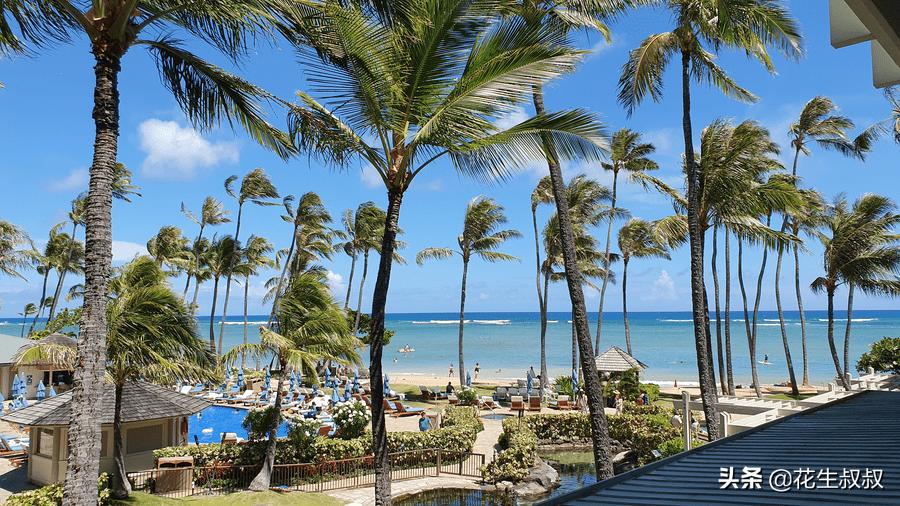 经典推荐畅游夏威夷欧胡岛环岛游,欧胡岛一日游