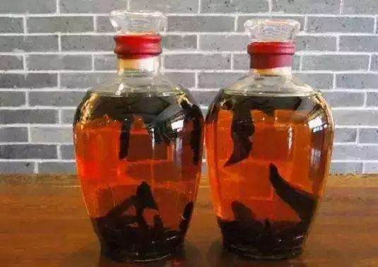 灵芝为什么能被叫做仙草呢,千年灵芝仙草