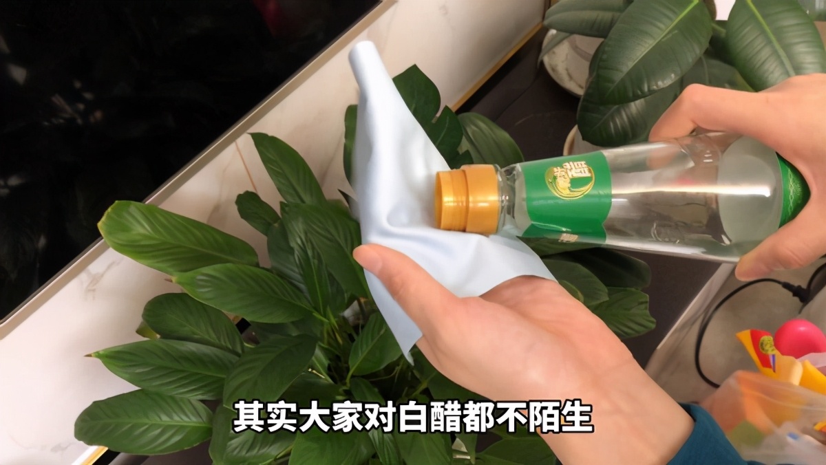 打扫卫生电视怎么擦,电视屏幕很脏怎么擦才能擦干净