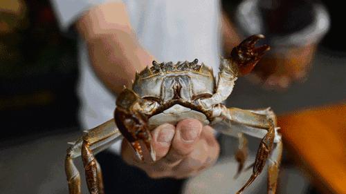 寒露已过，秋意浓，蟹脚痒