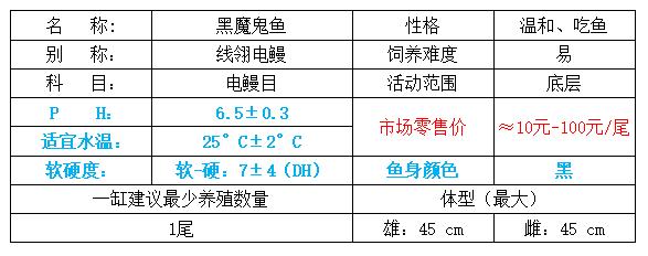 魔鬼刀鱼繁殖视频,魔鬼刀鱼吃食视频