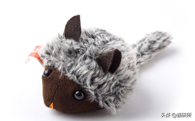 哪些猫咪玩具对小猫有害 (对猫咪有益的玩具)