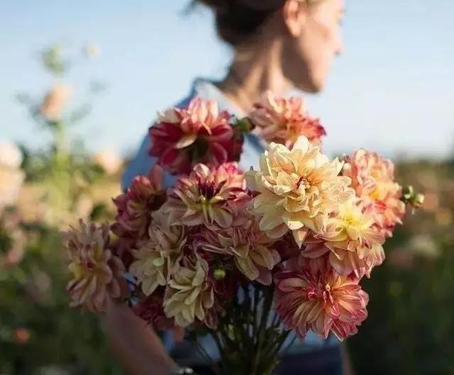 心理测试测你会在哪里结束单身,心理测试选图测你会柳暗花明吗
