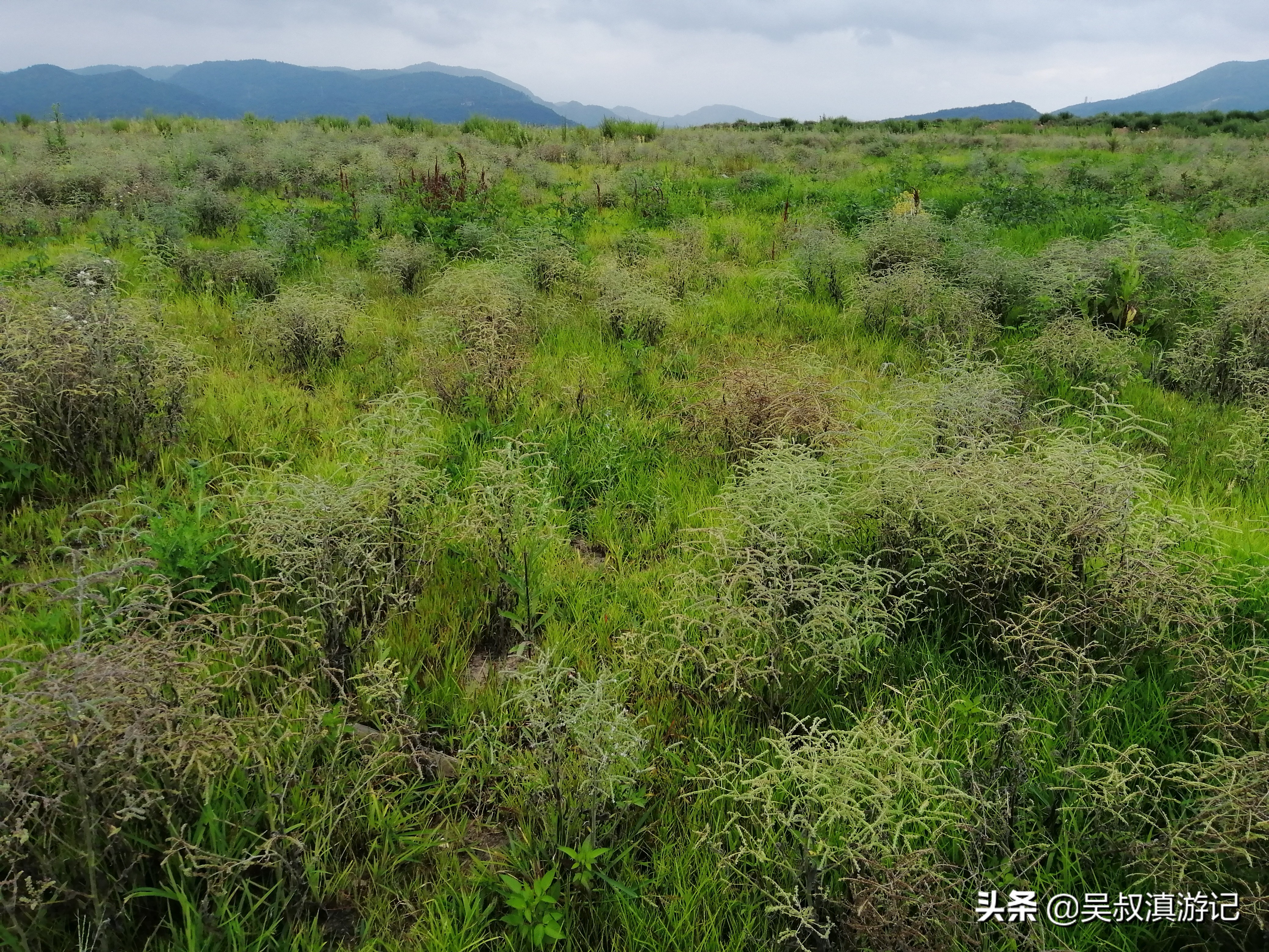 寻找奇石的亲身经历,寻找石盆寺视频