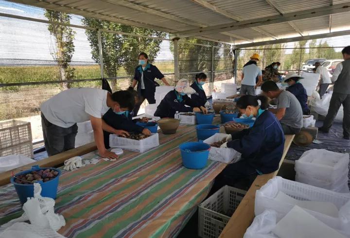 伊宁县疫情之下的我们,疫情期间医务人员不退缩