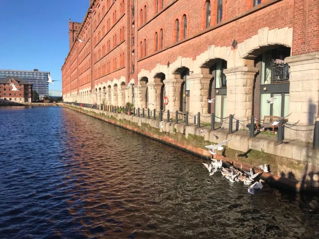 整合资源创新技术价值,整合资源开展特色活动