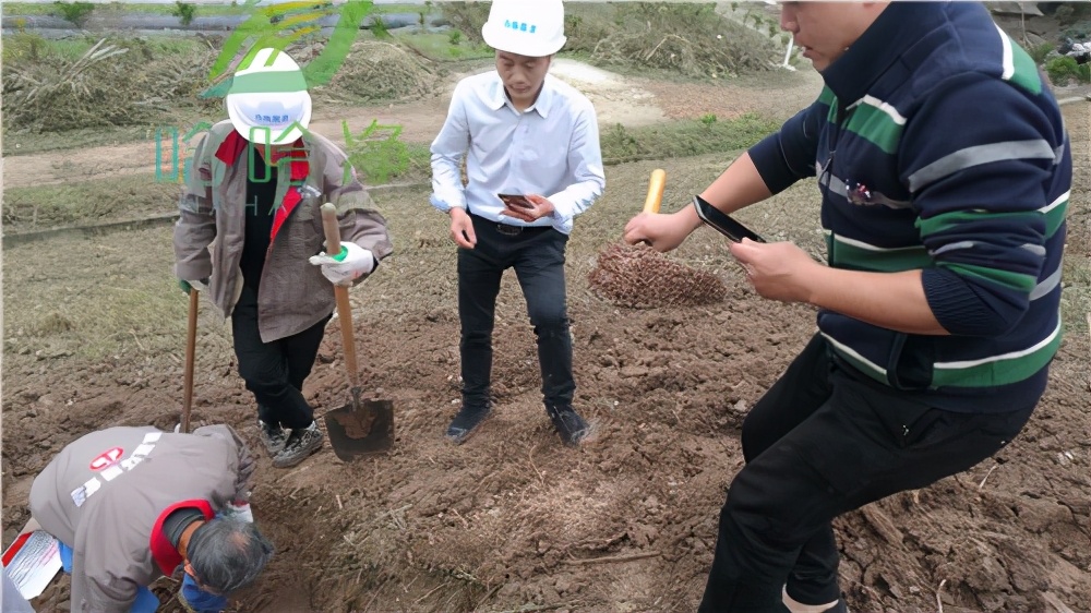 重庆工厂白蚁防治电话,重庆工厂白蚁防治哪家专业