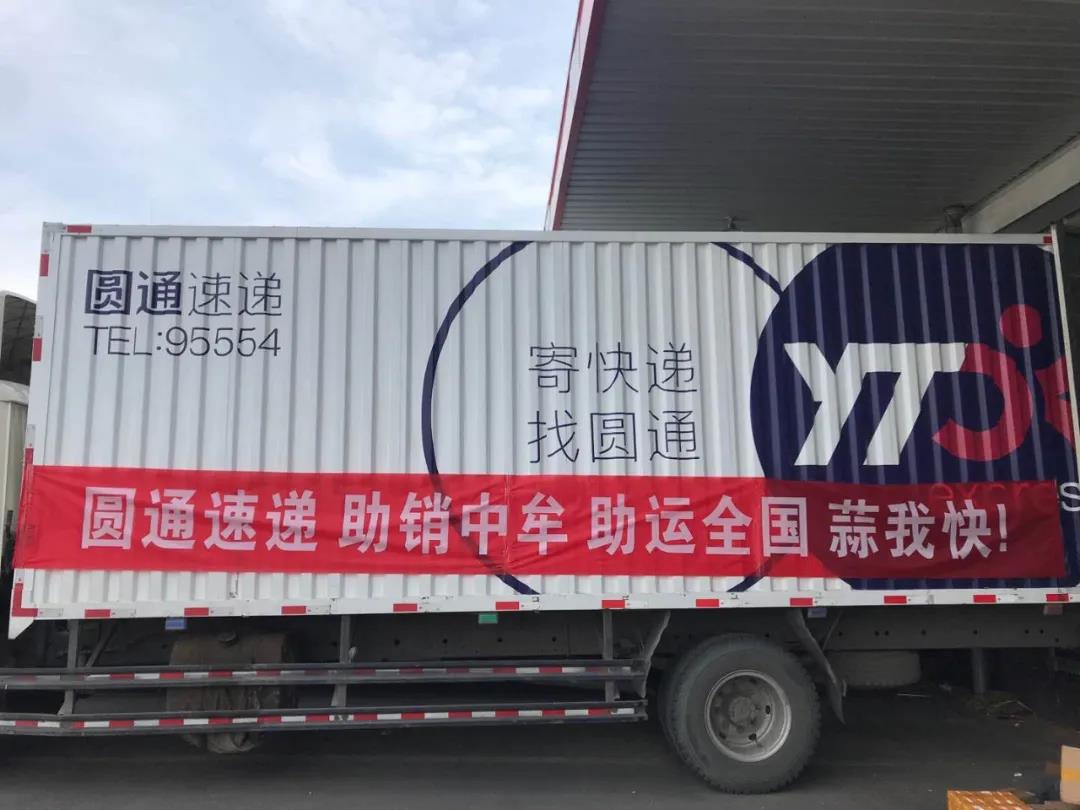 一天80万斤！圆通对接直播带货，助力“大蒜出豫”