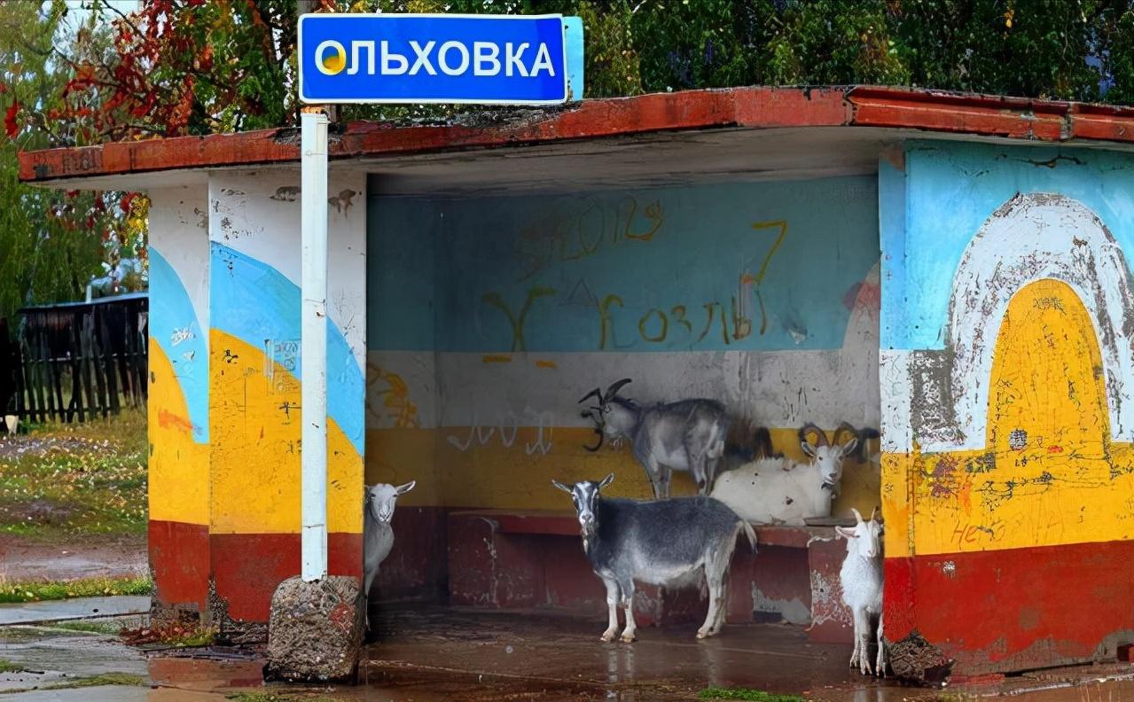 50张照片告诉你，“俄罗斯”有多么与众不同