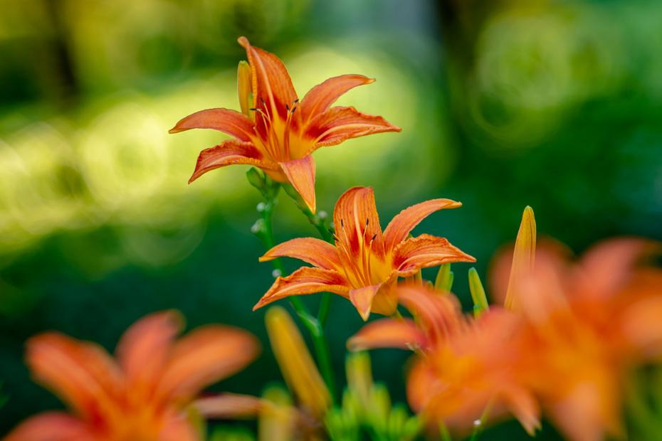 在济南花式避暑,一见“清”心!只需一瞥,便足以把酷夏原谅…