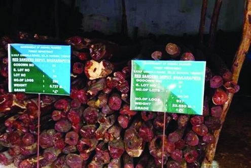 印度小叶紫檀介绍视频教程,印度小叶紫檀知识讲解