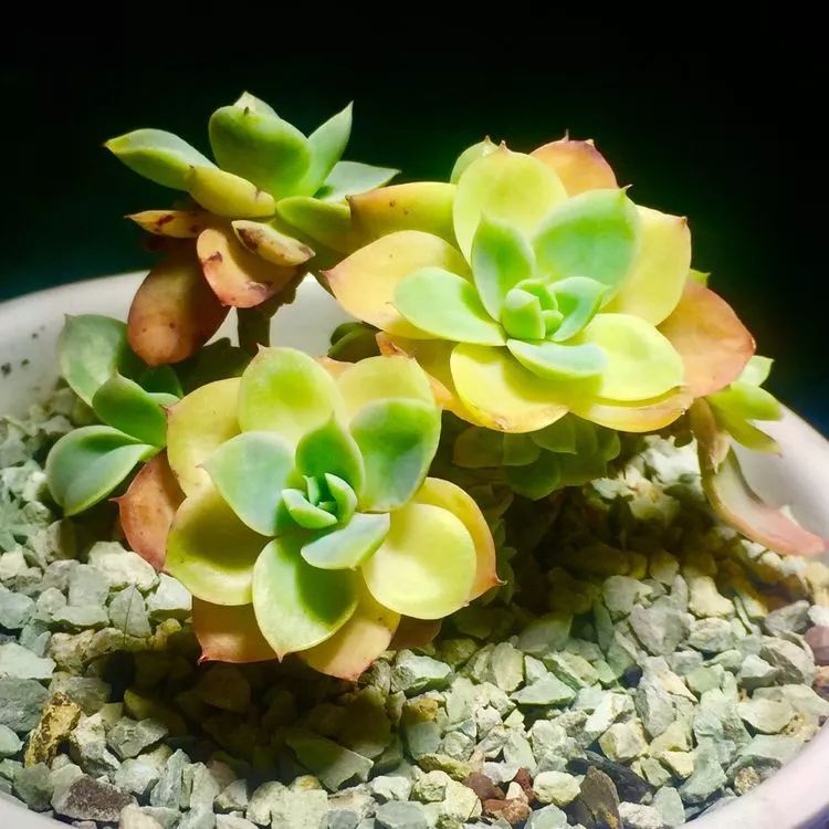 记录走过的美景留下美好的回忆,记录走过的每一段美好时光